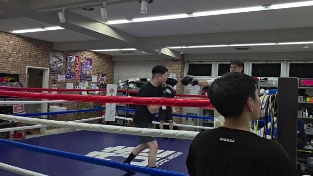 이 칼자게 스파링 동영상 1